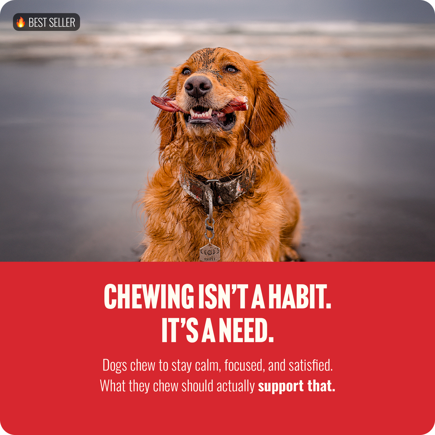 12 Inch Braided Bully Sticks