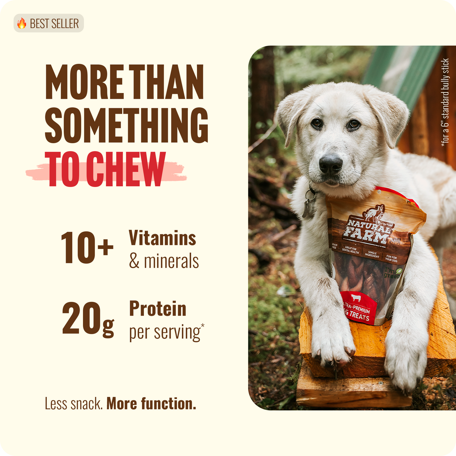 12 Inch Braided Collagen Sticks