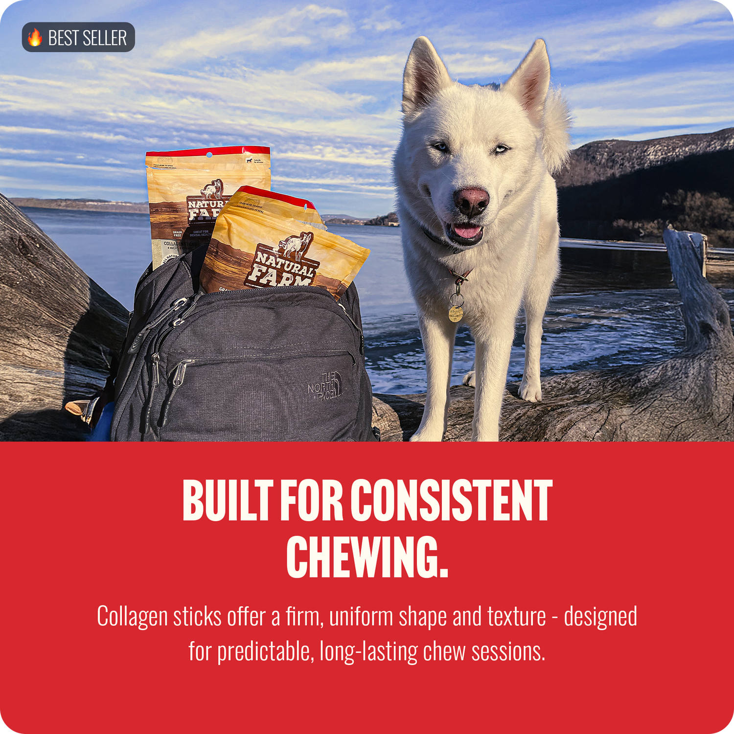 12 Inch Braided Collagen Sticks