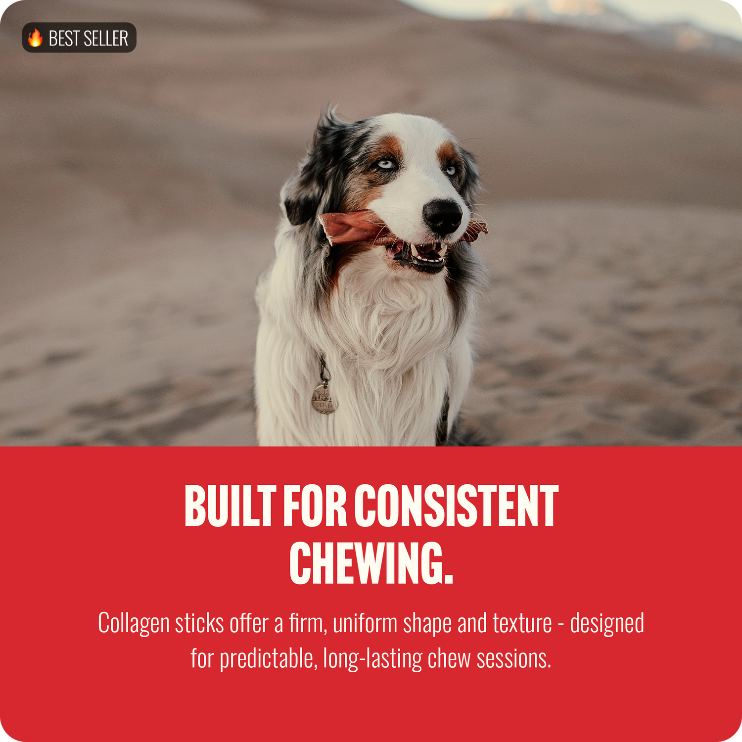 12 inch Braided Super Collagen Sticks