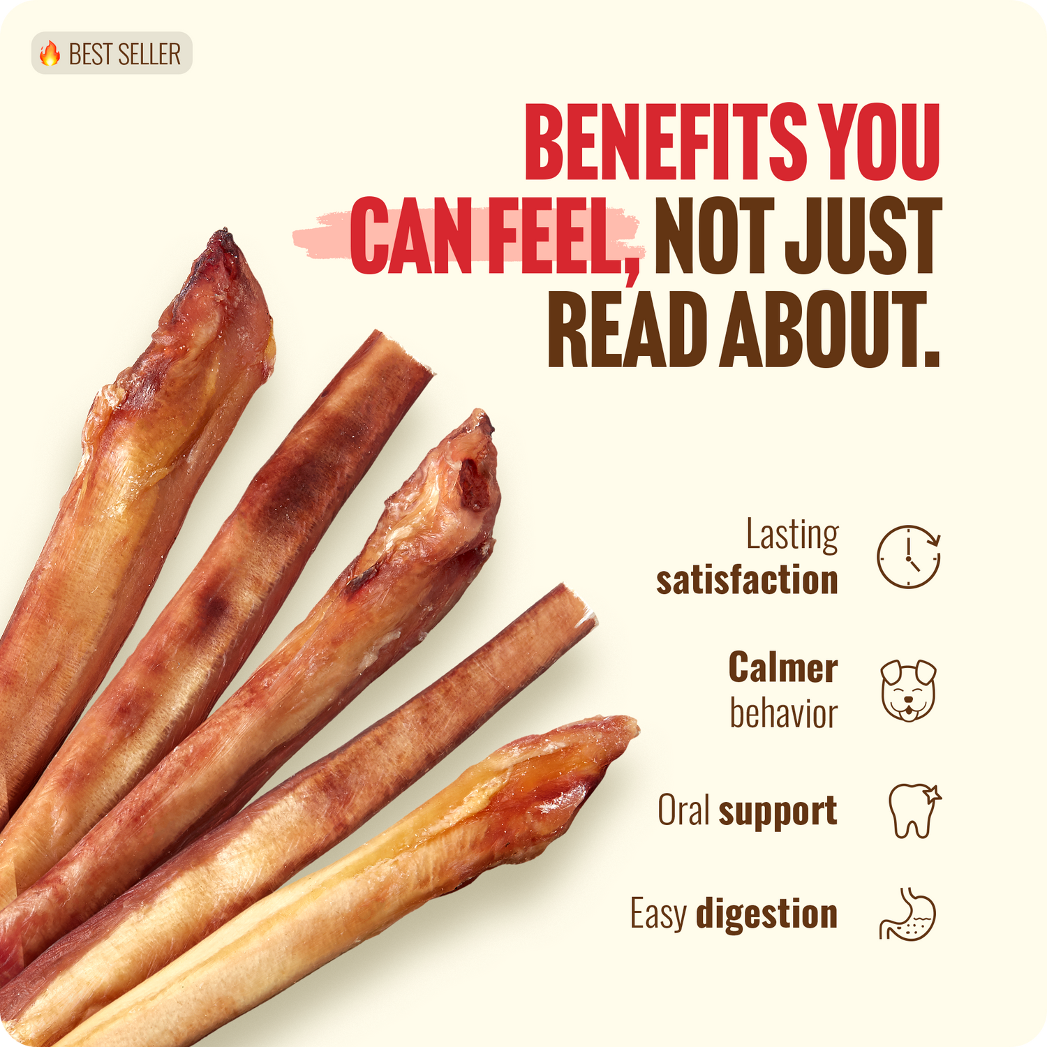 12 Inch Extra Thick Bully Sticks