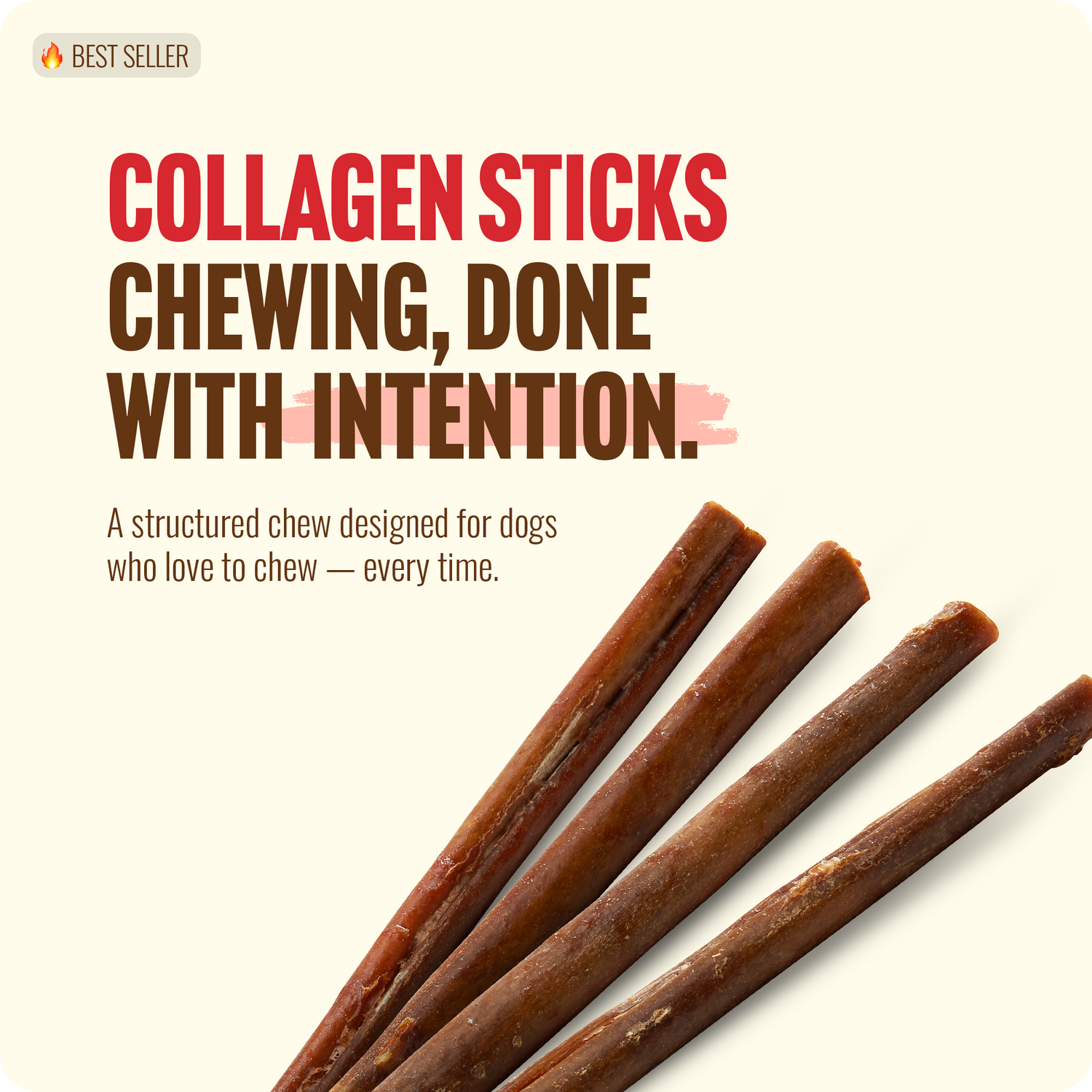12 Inch Bully Coated Gourmet Collagen Sticks