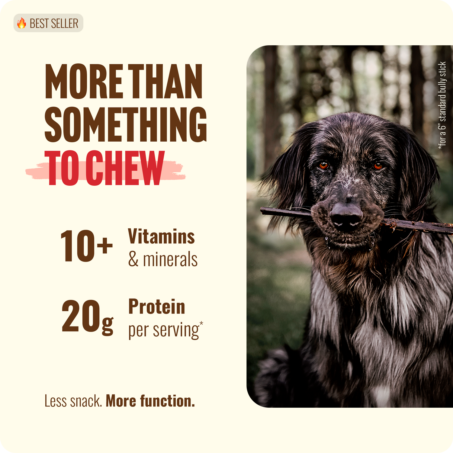 12 Inch Bully Coated Gourmet Collagen Sticks