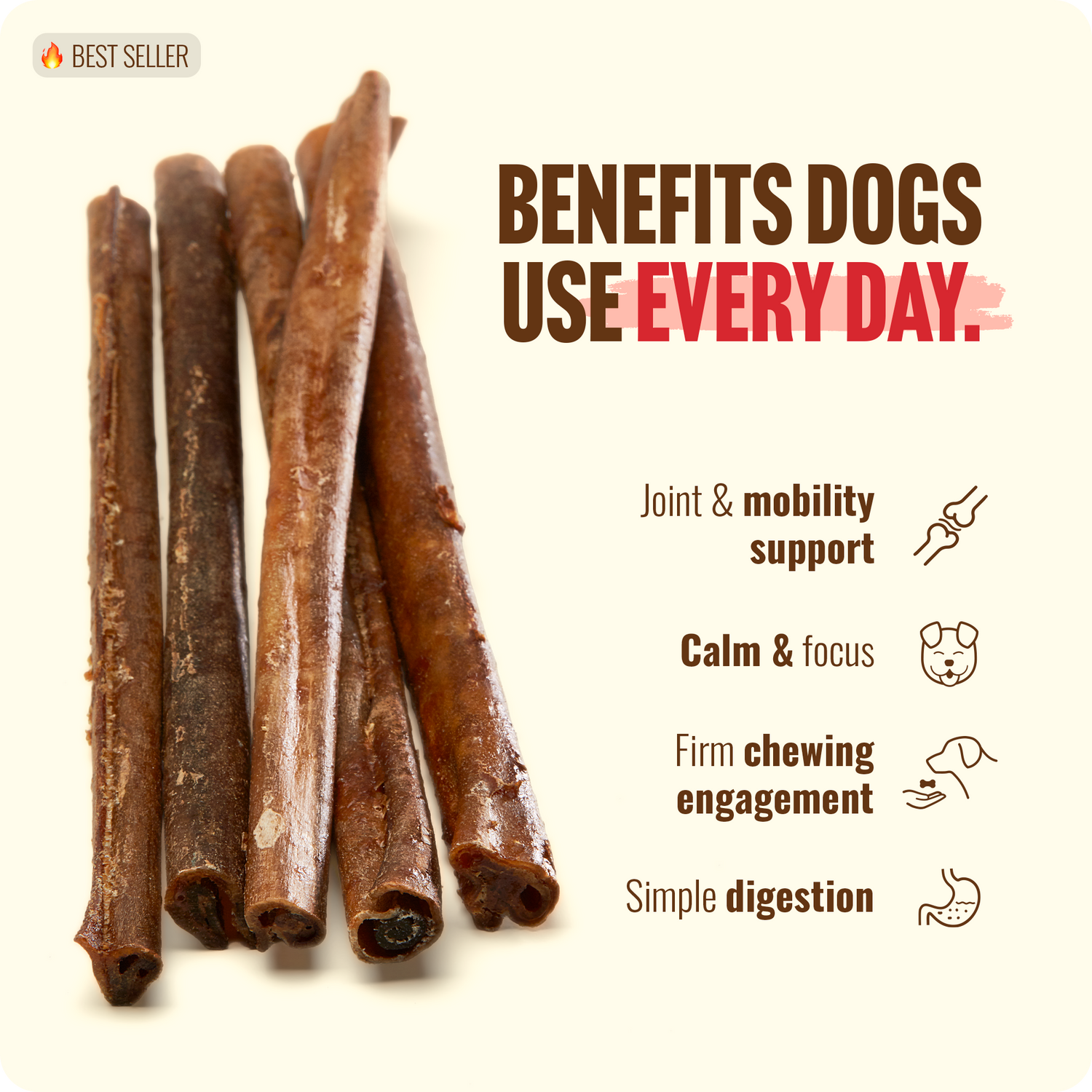 12 Inch Bully Coated Gourmet Collagen Sticks