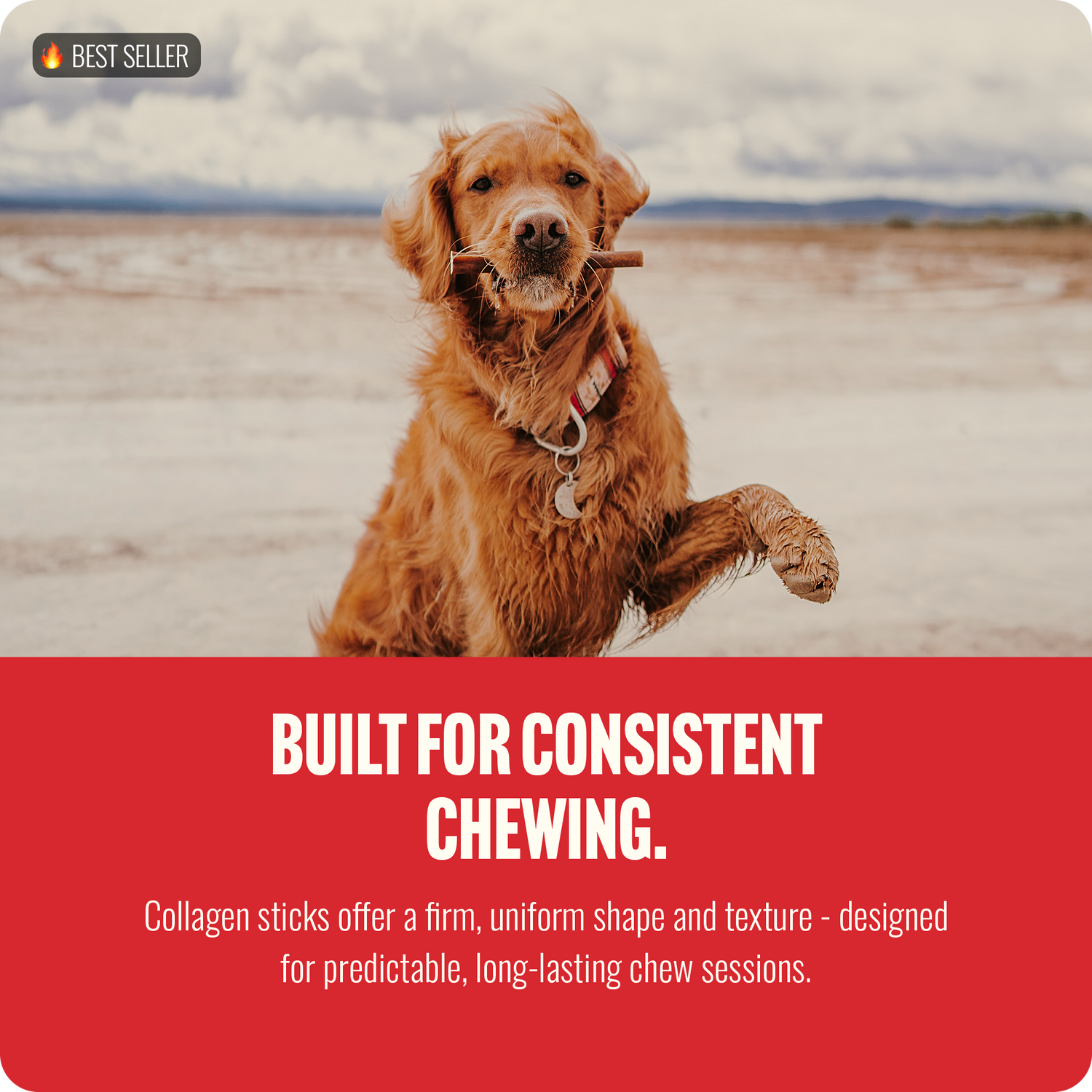 12 Inch Collagen Sticks Peanut Butter Flavor