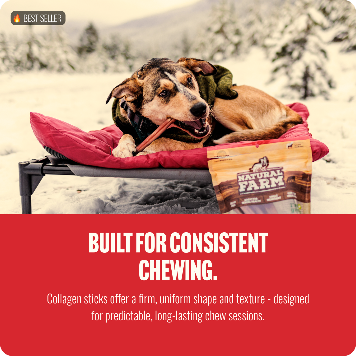 12 Inch Super Collagen Sticks