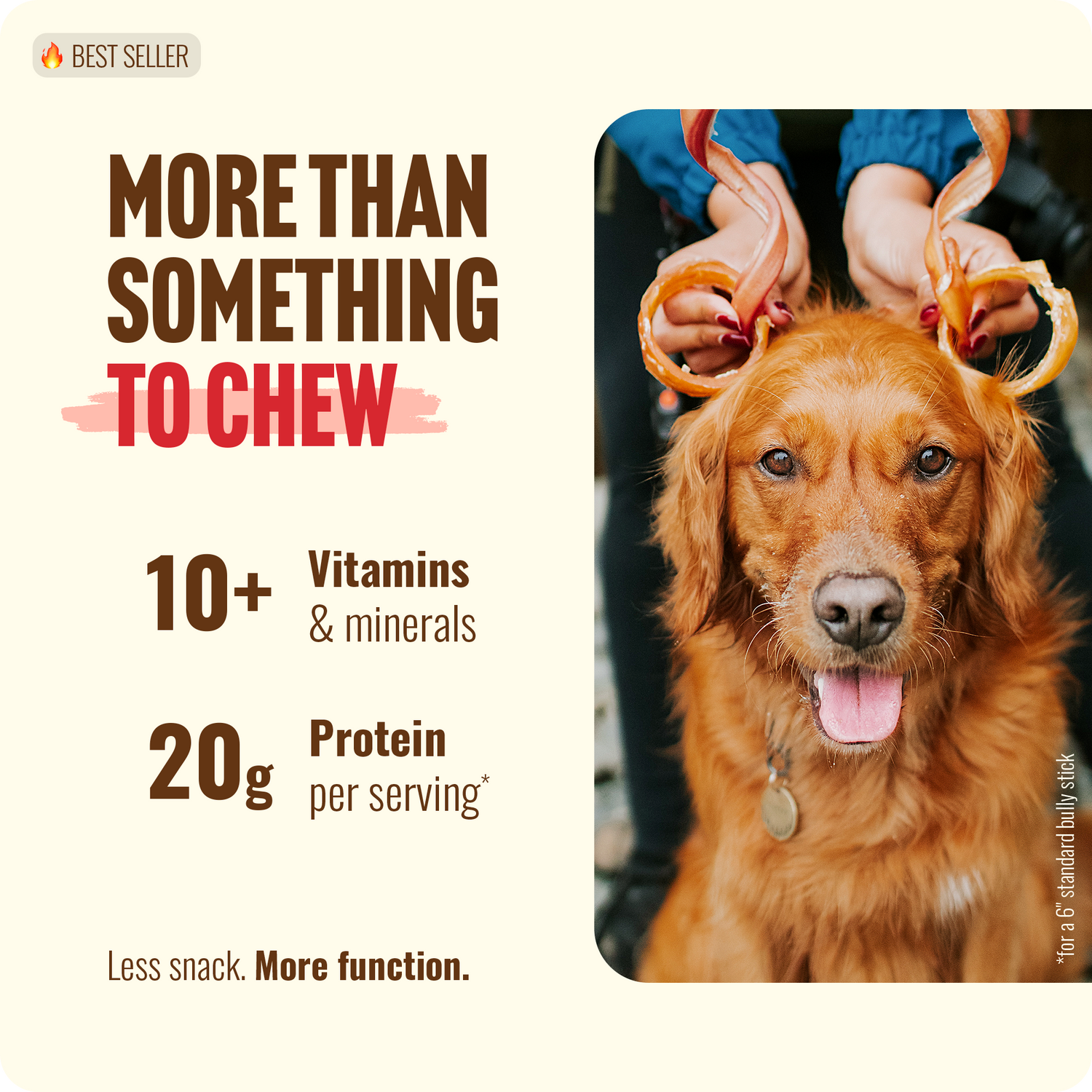 Bully Rings for Dogs