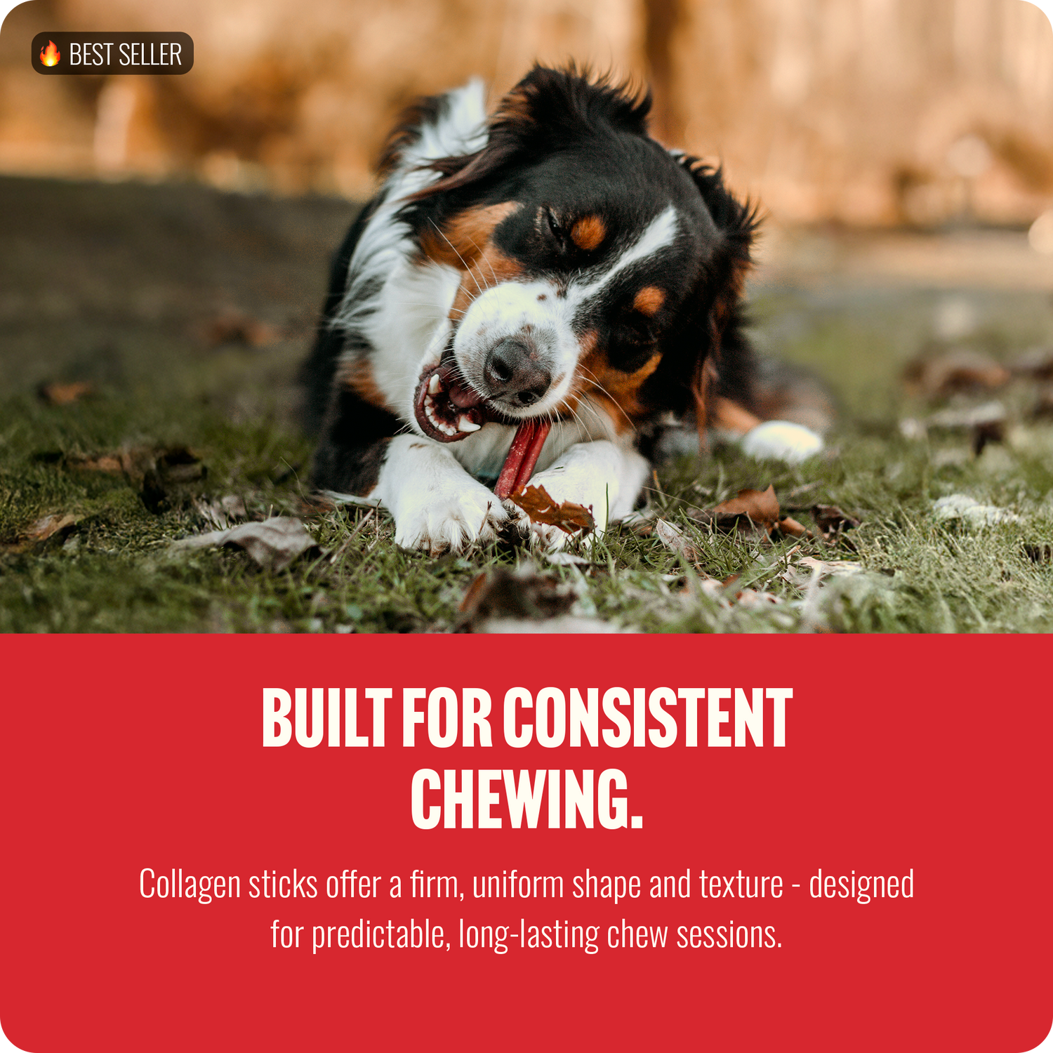 3-5 Inch Super Collagen Sticks