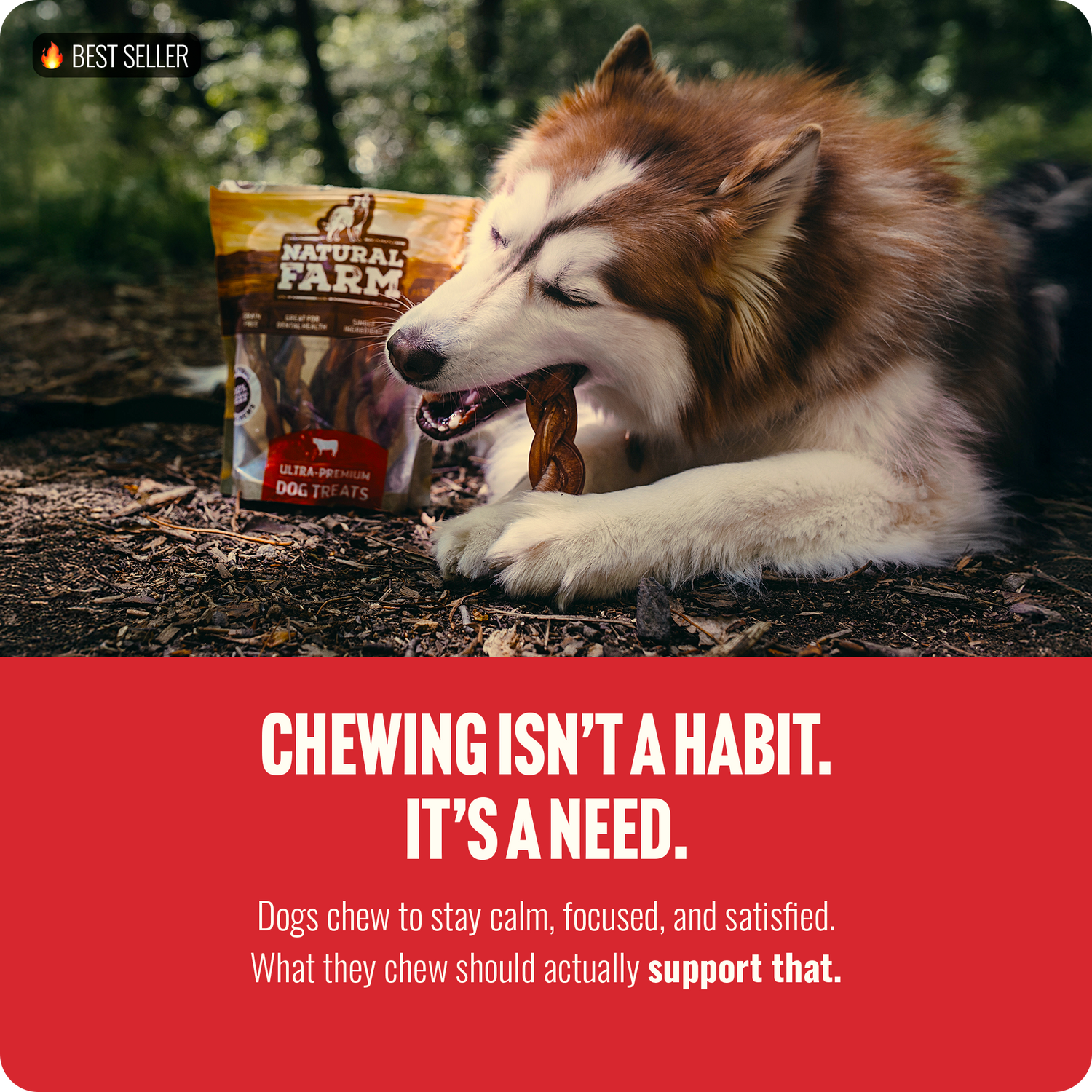 4-5 Inch Braided Bully Sticks