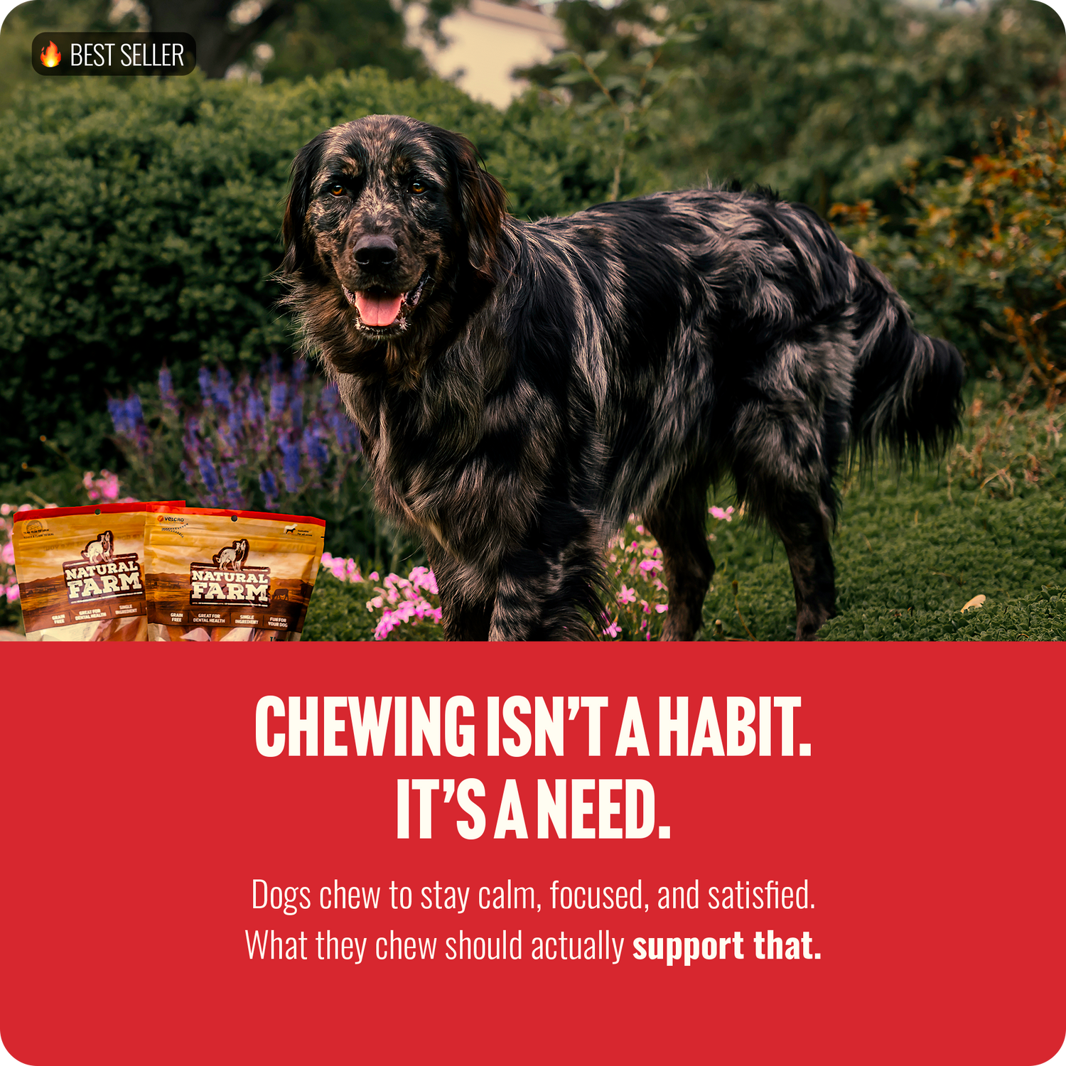 4 Inch Standard Bully Sticks