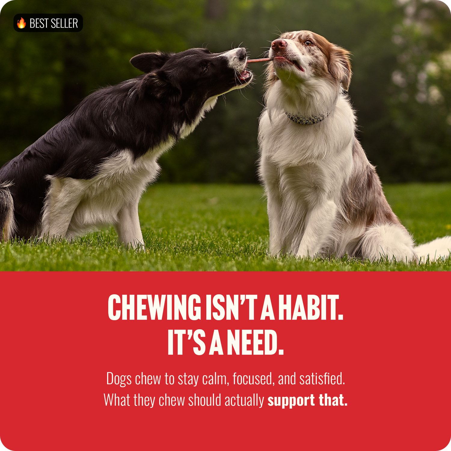 4 Inch Thin Bully Sticks