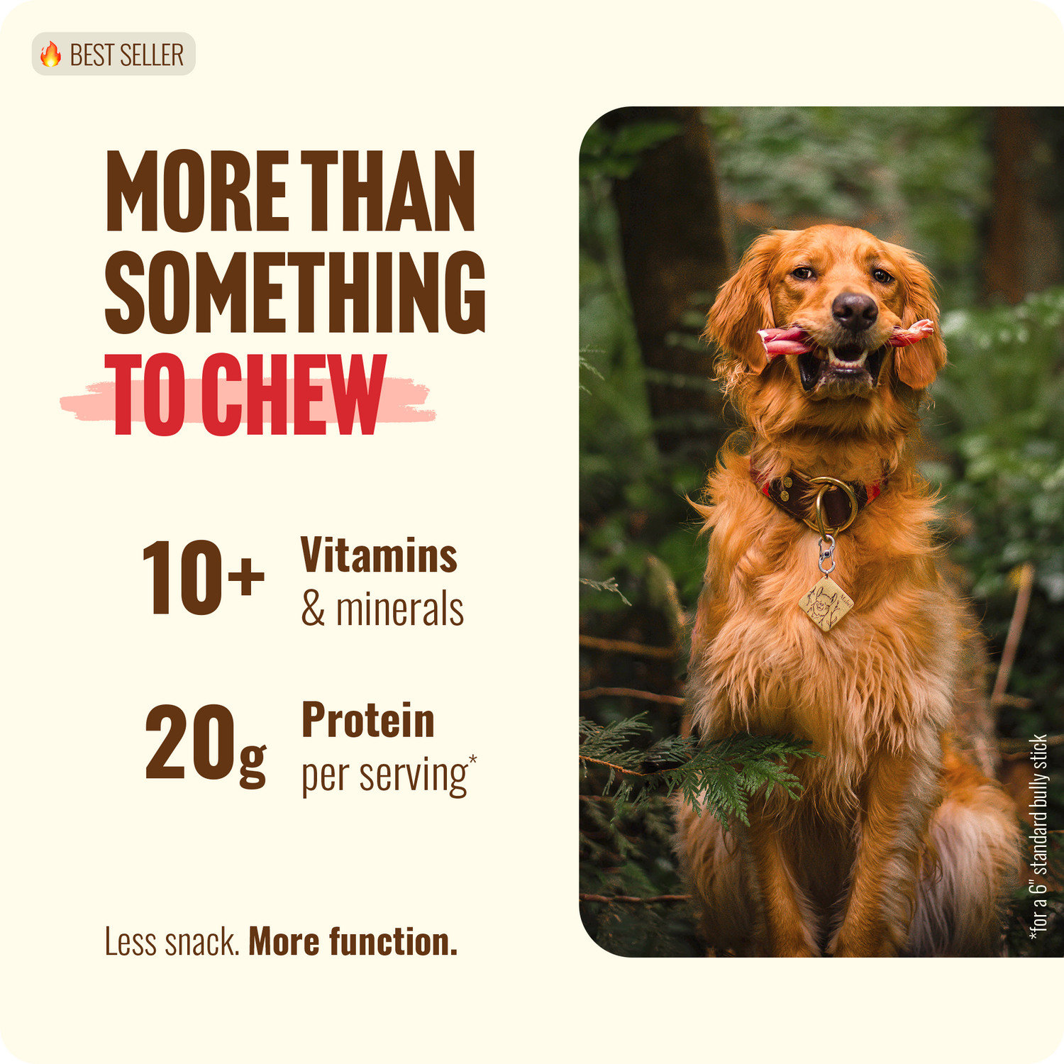 7 Inch Standard Bully Sticks