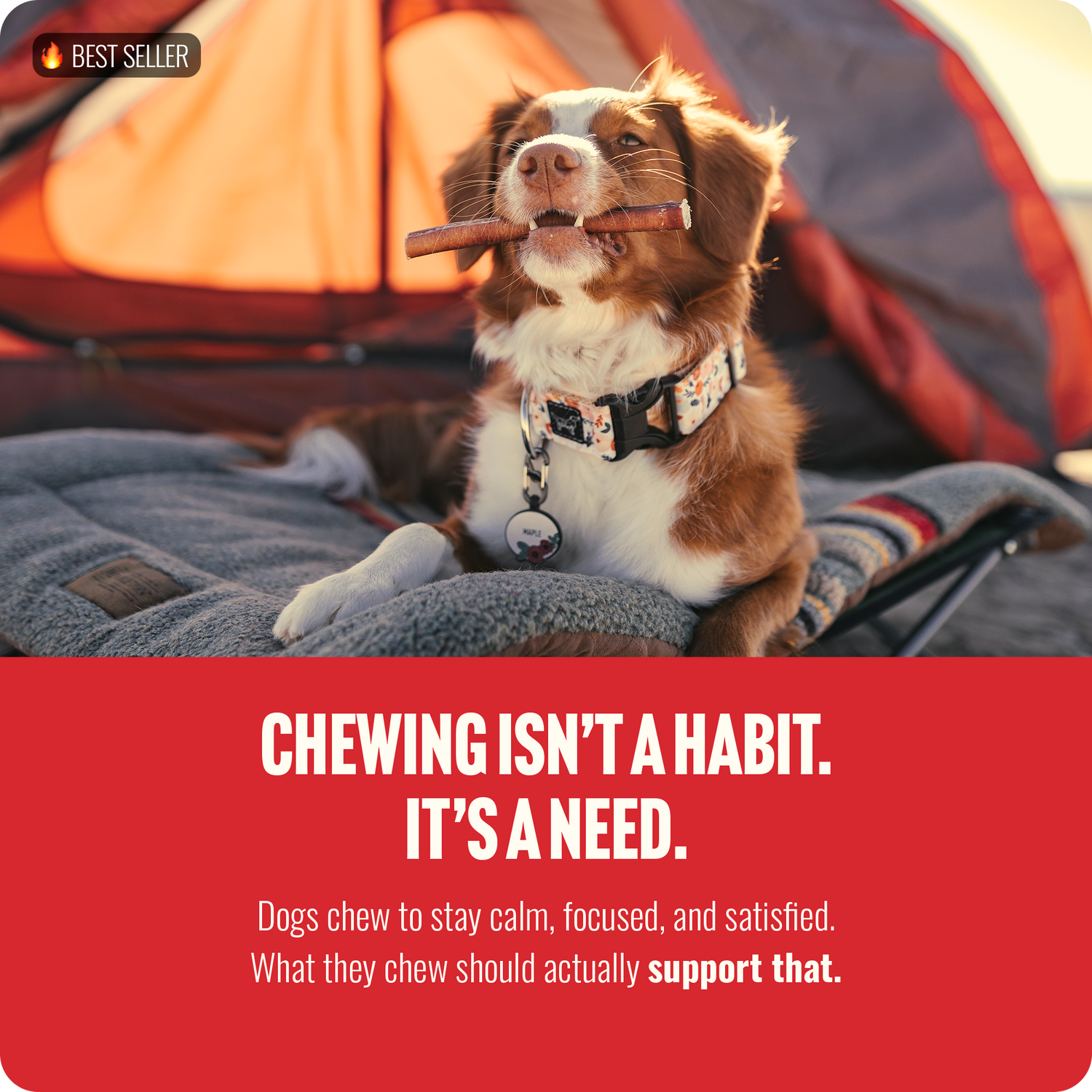 7 Inch Standard Bully Sticks