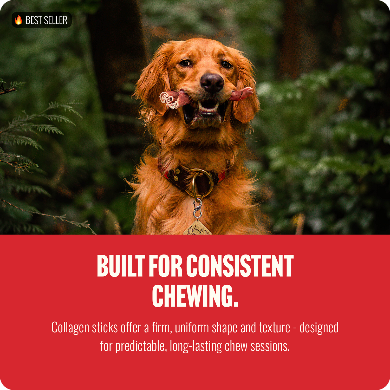 6 Inch Braided Super Collagen Sticks