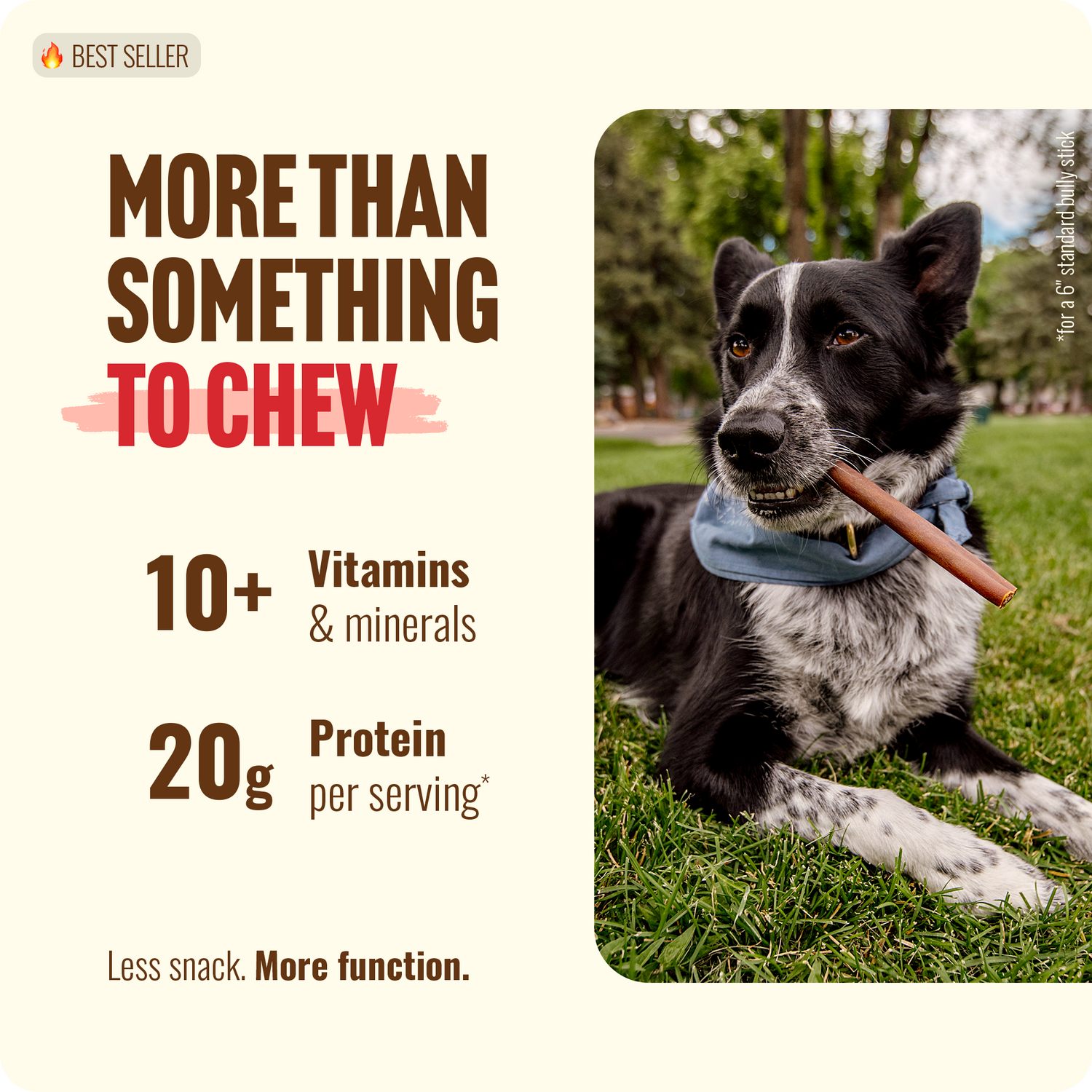 6 Inch Beef Collagen Sticks