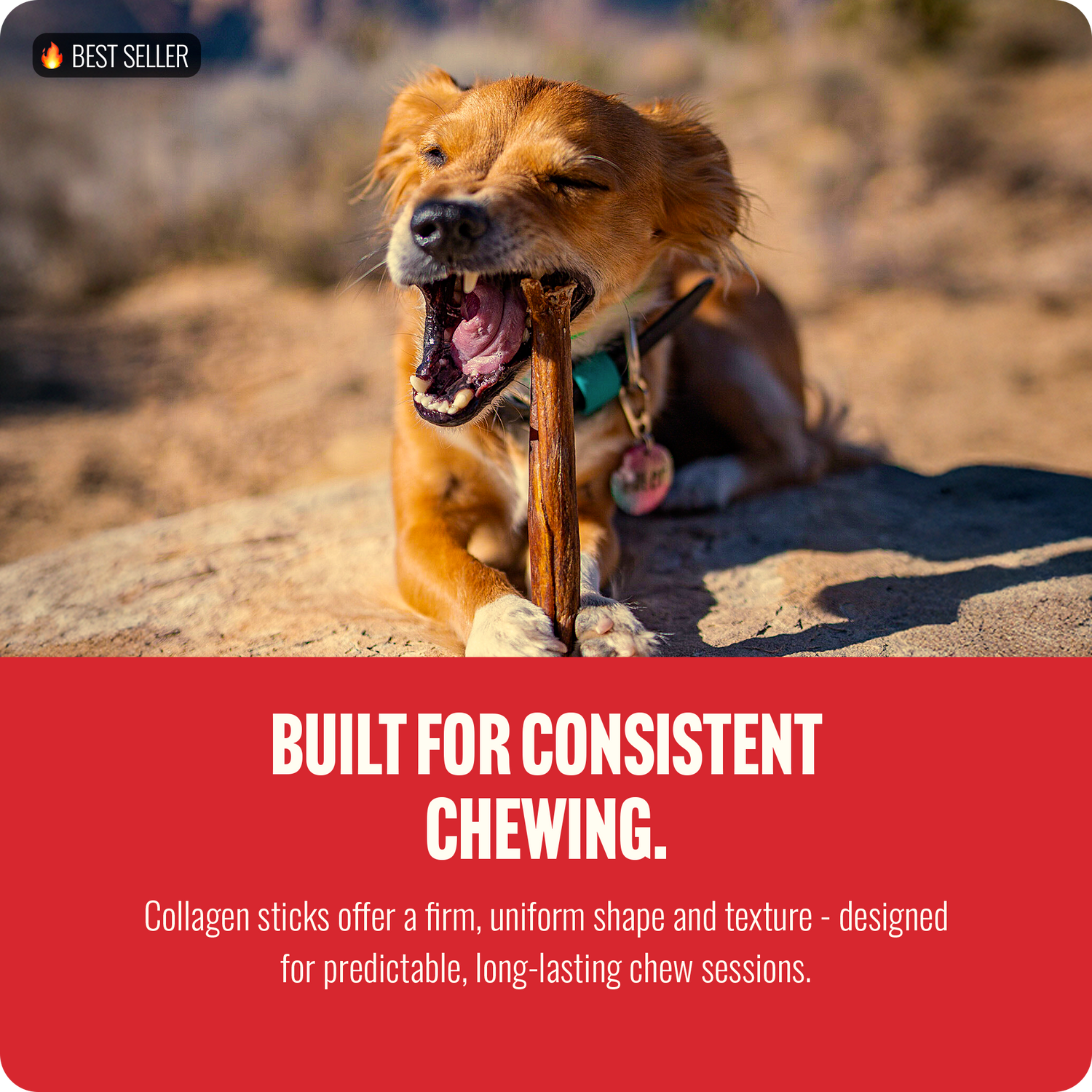 6 Inch Beef Collagen Sticks