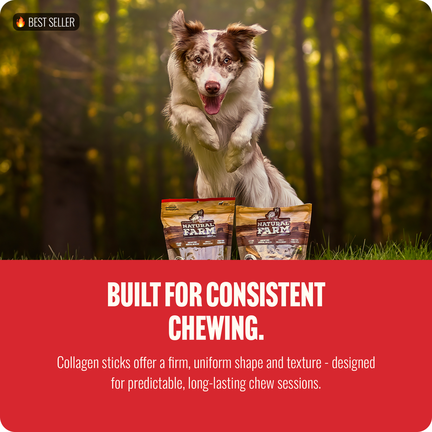 6 Inch Collagen Sticks Peanut Butter Flavor