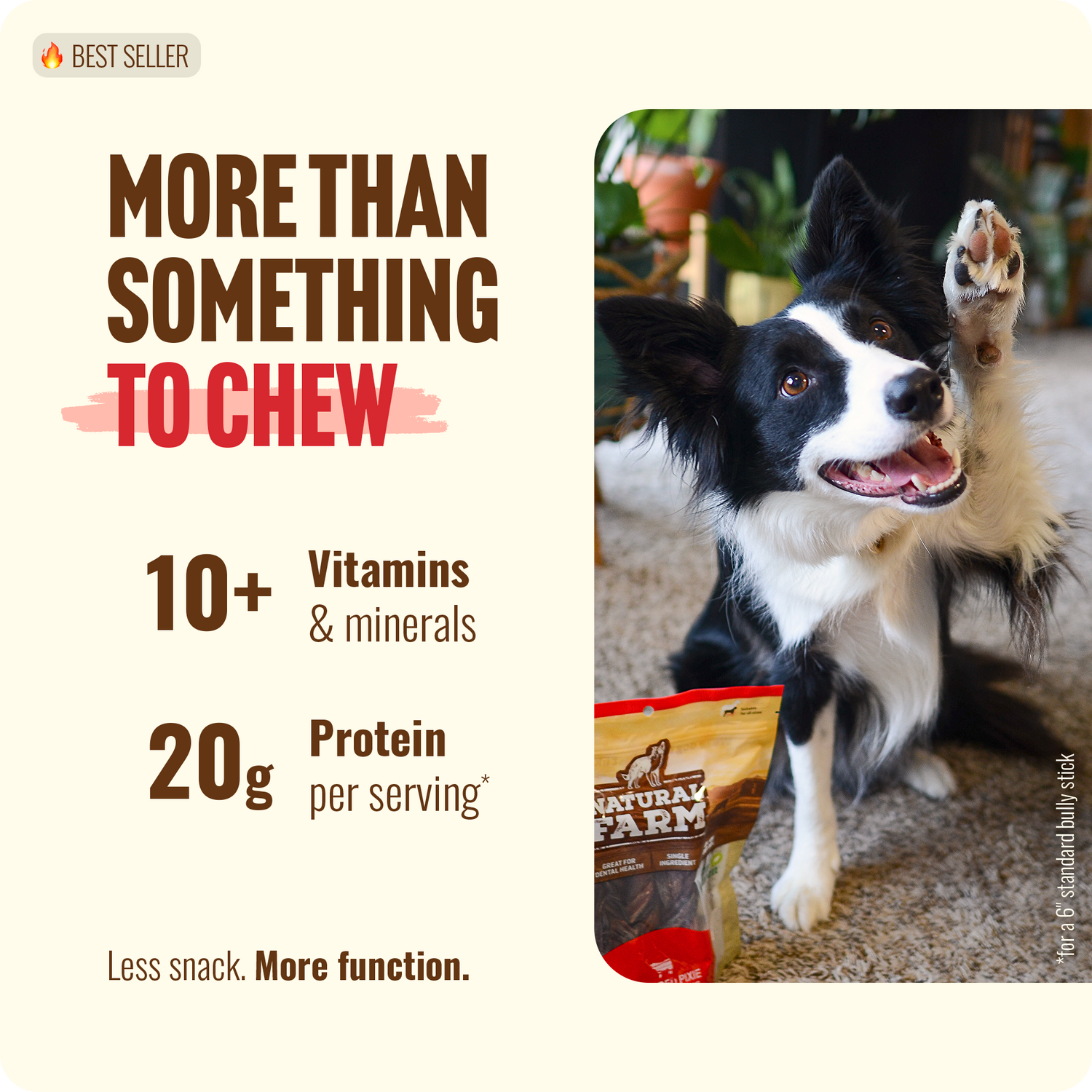 Border Collie excited for Natural Farm bully sticks - 10+ vitamins and 20g protein per serving