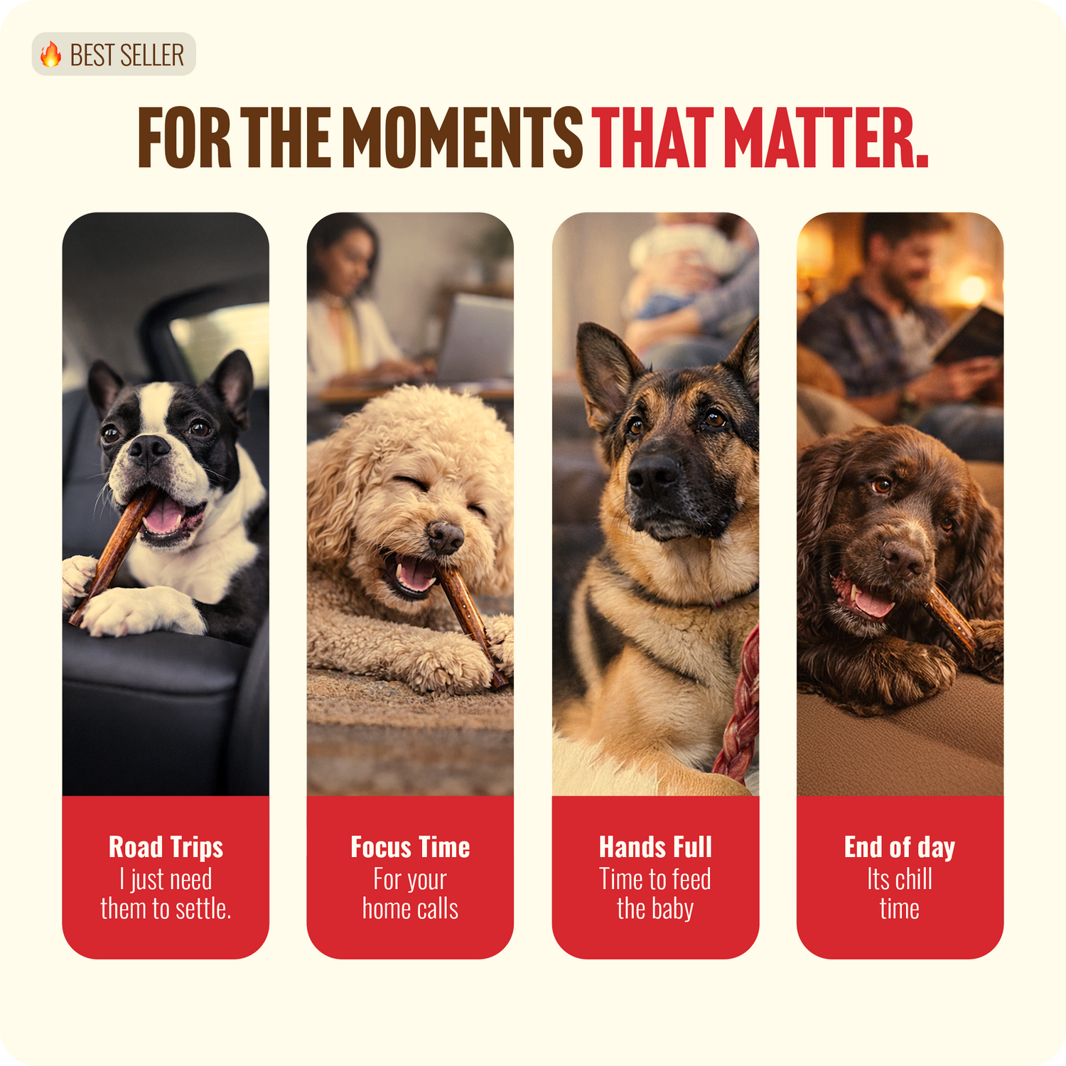 Dogs enjoying bully sticks in everyday moments - road trips, work calls, feeding baby, relaxing