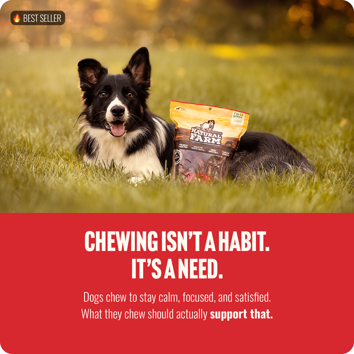 6 Inch Thin Bully Sticks