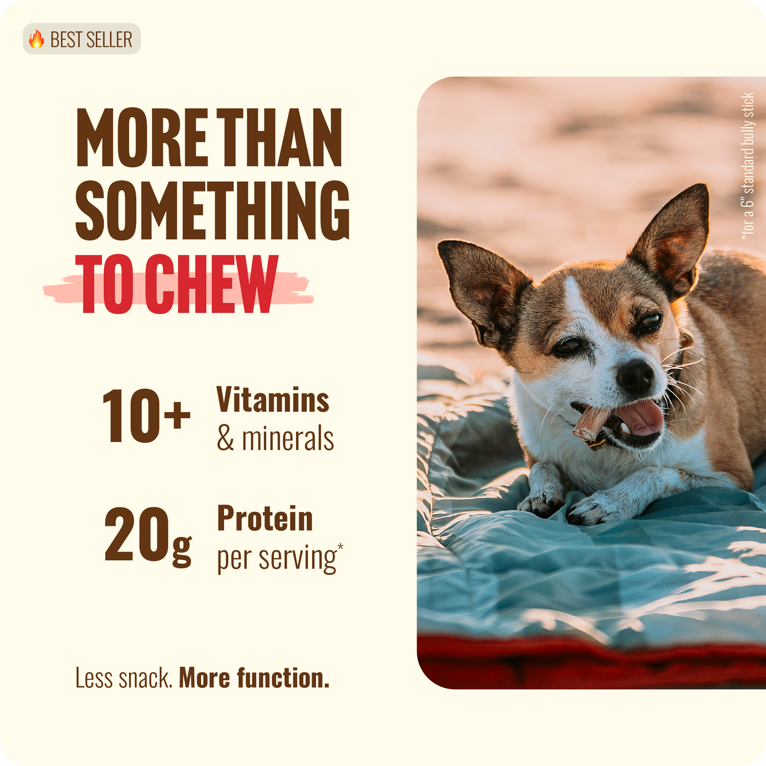 2-5 Inch Eccentric Bully Sticks