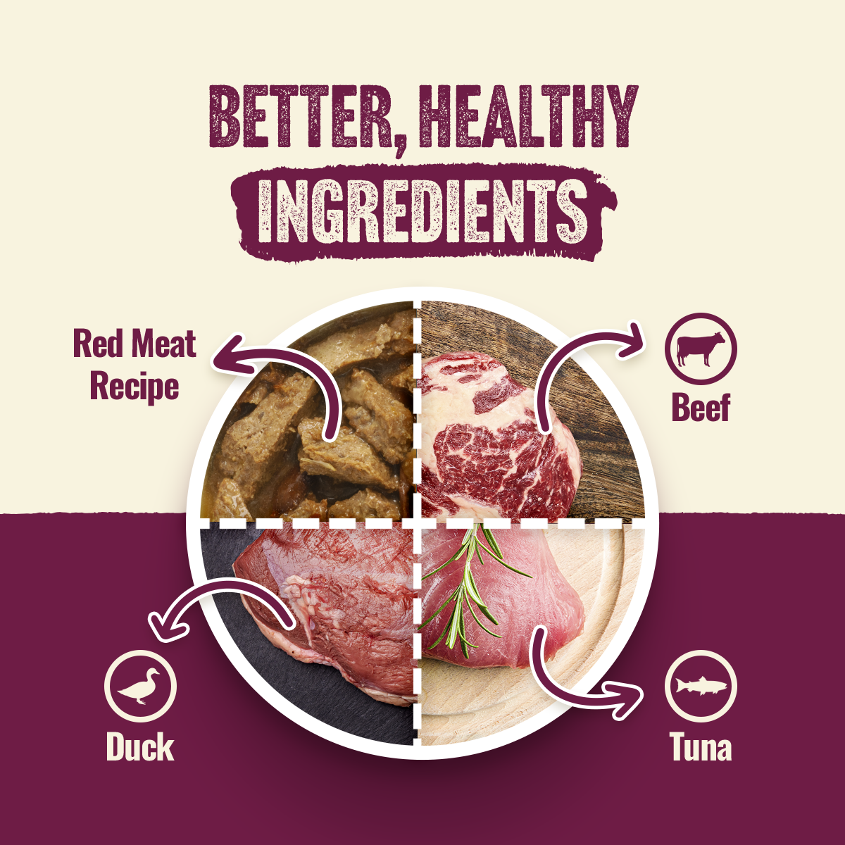 Natural Farm Red Meat Recipe - 95% Animal Ingredients Wet Food for Adult Dogs (12 Cans)