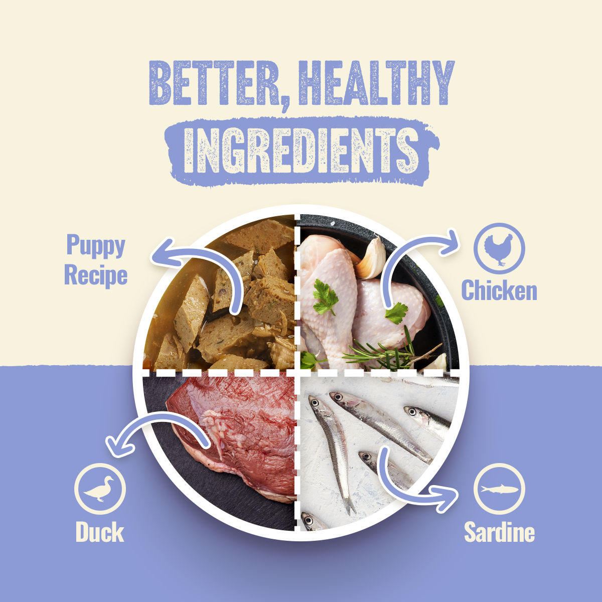Natural Farm Puppy Recipe - 95% Animal Ingredients Wet Food for Growing Puppies (12 Cans)