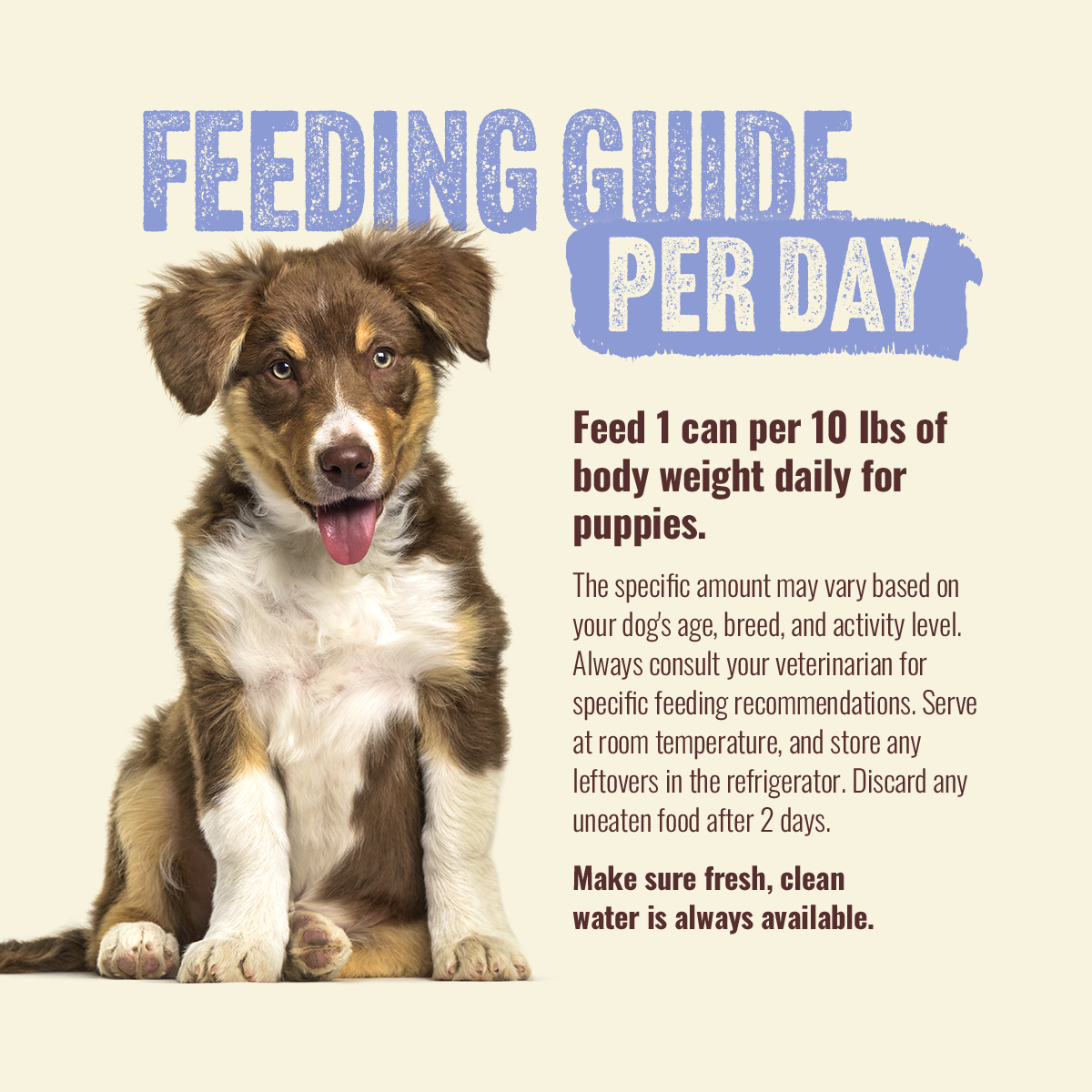 Natural Farm Puppy Recipe - 95% Animal Ingredients Wet Food for Growing Puppies (12 Cans)