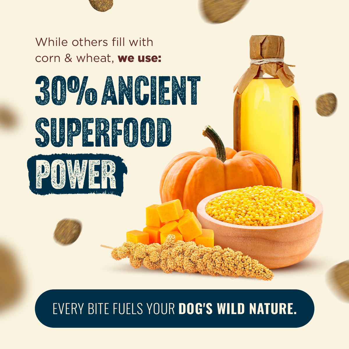 Natural Farm Fresh from the Farm Fish Recipe with Collagen - Joint & Coat Support for All Life Stages