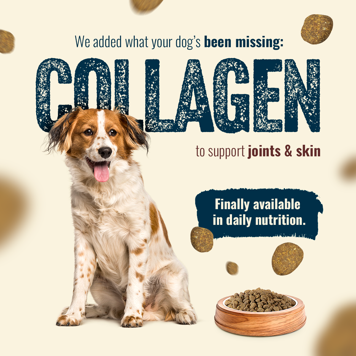 Natural Farm Fresh from the Farm Fish Recipe with Collagen - Joint & Coat Support for All Life Stages
