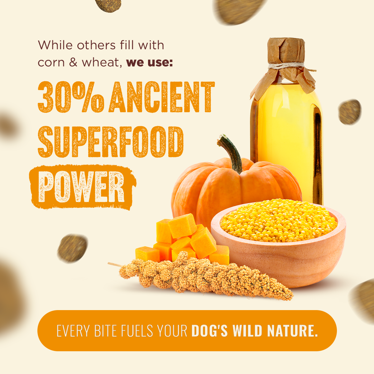 Fresh from the Farm - Poultry Recipe