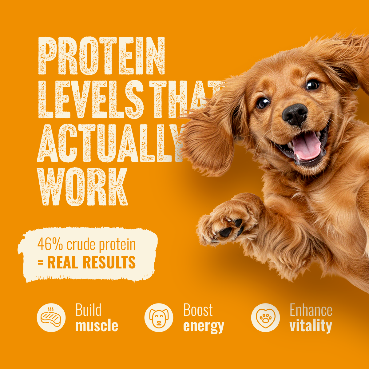 Natural Farm Fresh from the Farm Poultry Recipe with Collagen - Joint & Coat Support for All Life Stages