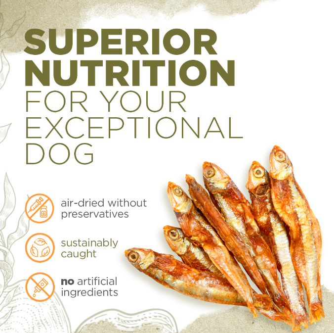 Puppy Starter Pack Natural Farm Shop Bundle