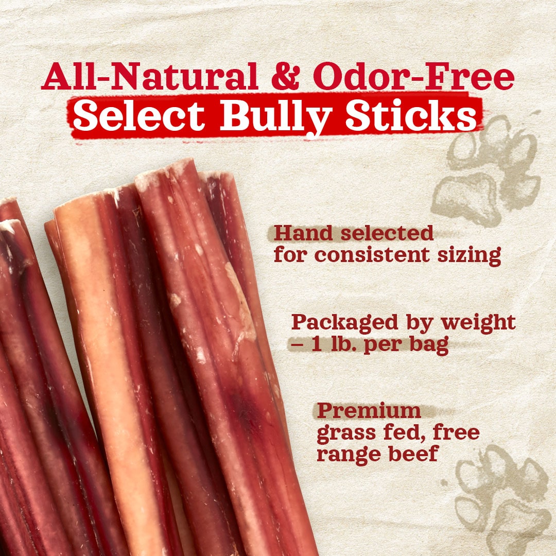 6 Inch Hand Selected Standard Bully Sticks Natural Farm Shop Bully Sticks
