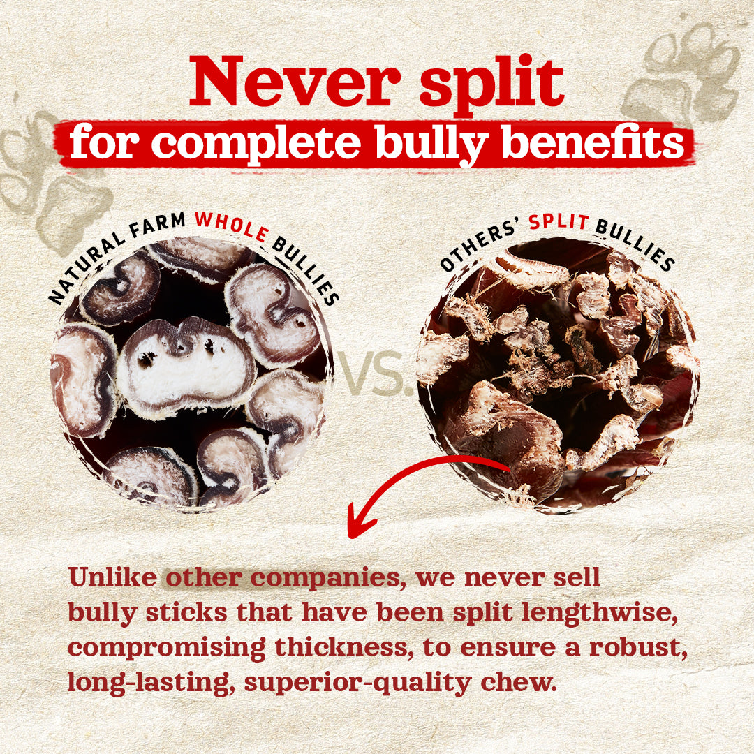 6 Inch Hand Selected Standard Bully Sticks Natural Farm Shop Bully Sticks