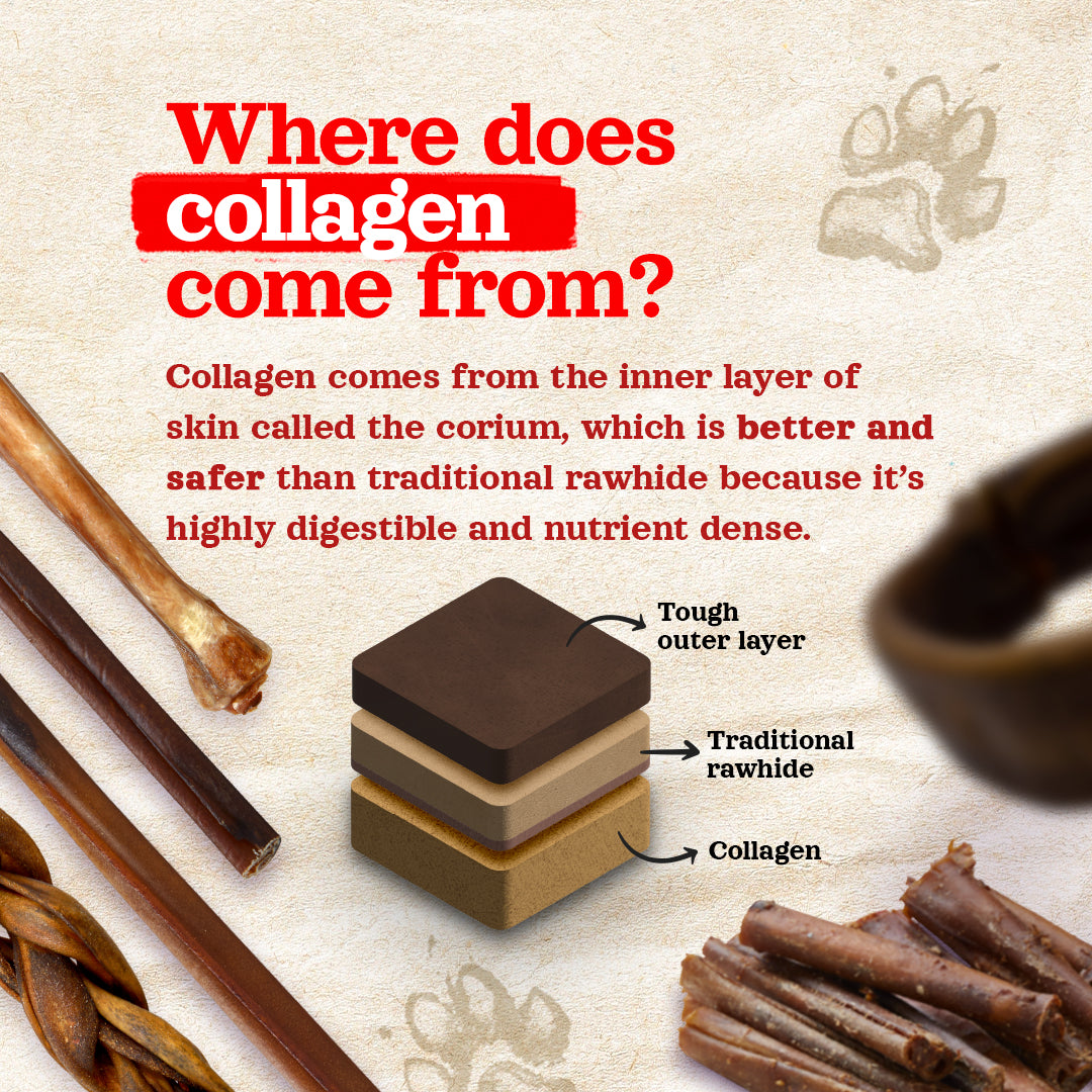 6 Inch Bully Coated Gourmet Collagen Sticks Natural Farm Shop Collagen Sticks