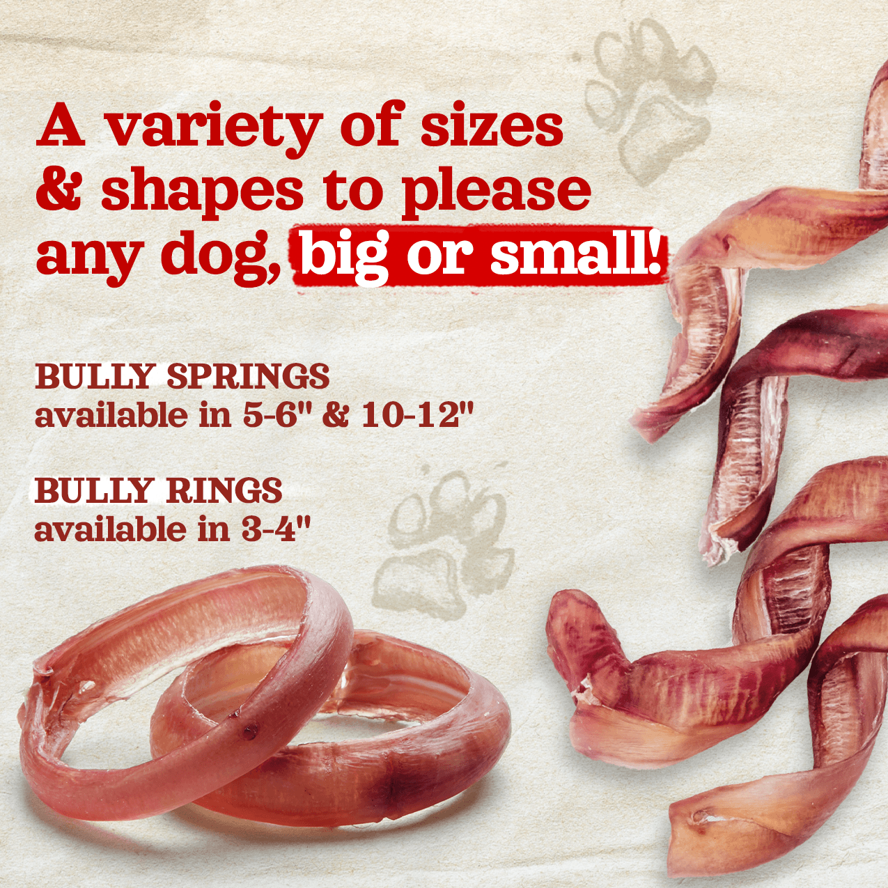 Bully rings for puppies hotsell
