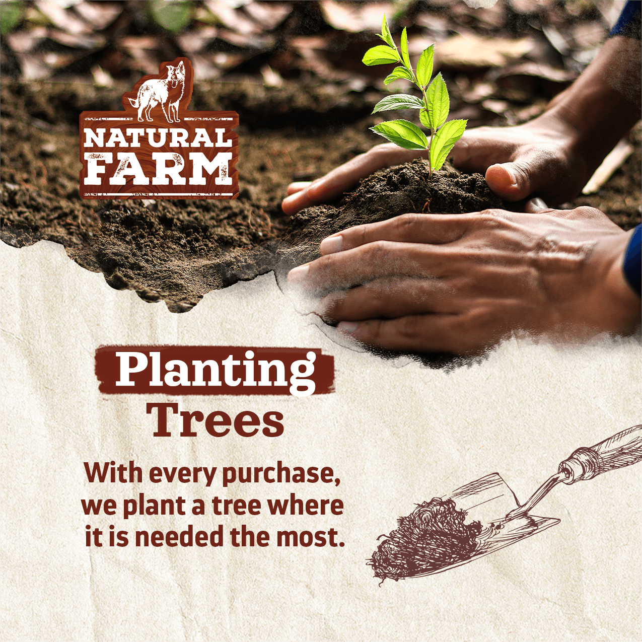 12 Inch Collagen Sticks Peanut Butter Flavor Natural Farm Shop Collagen Sticks