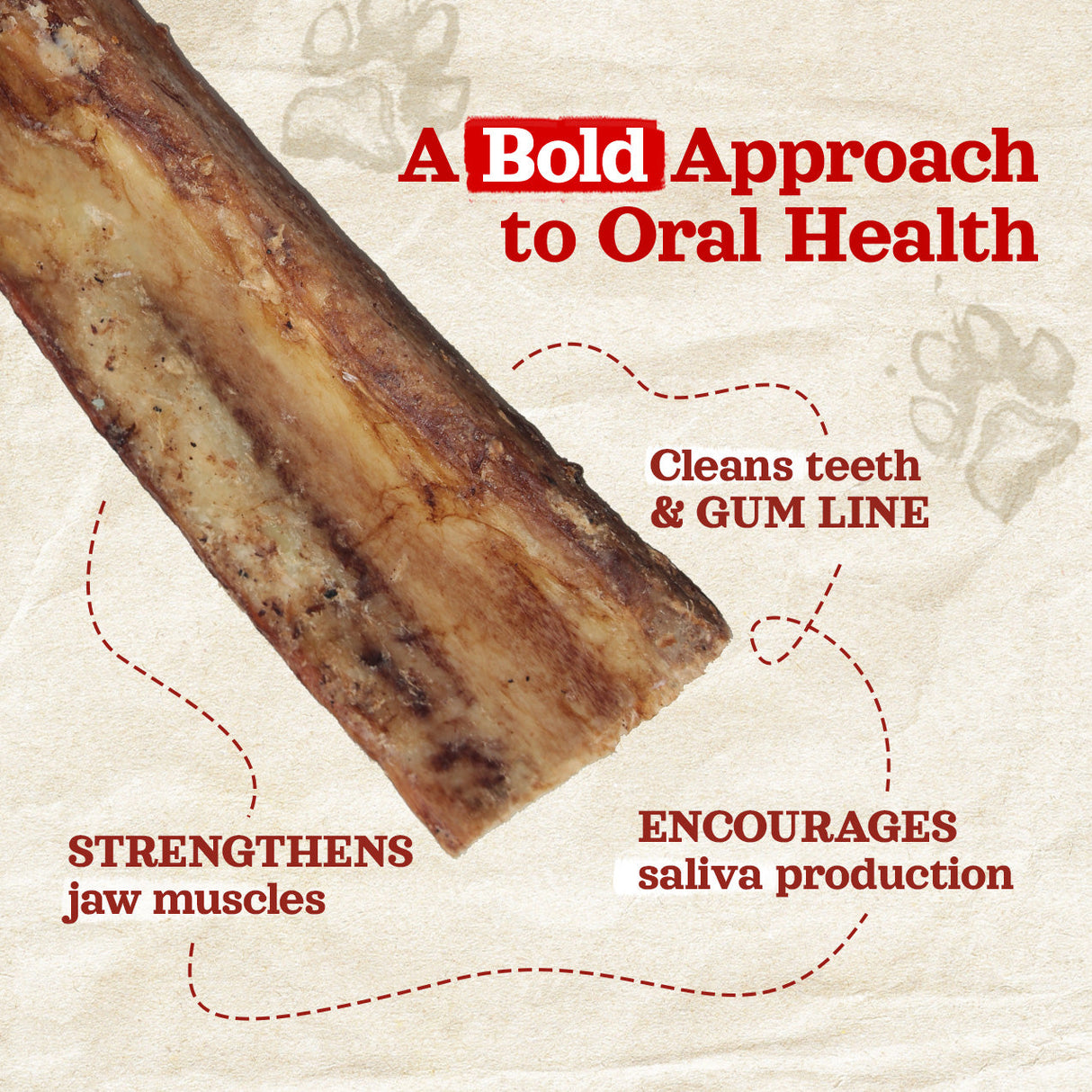 6 Inch Beef Rib Bones for Dogs Natural Farm Shop Bones