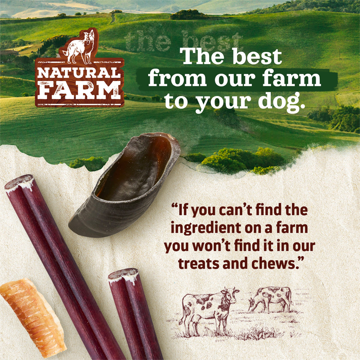Beef Marrow Dog Bones Natural Farm Shop Bones