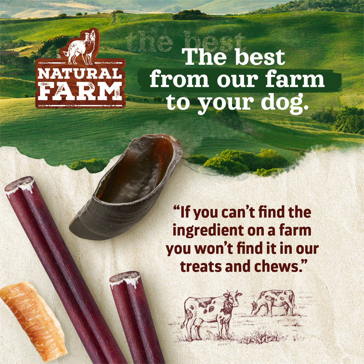 12 Inch Hand Selected Standard Bully Sticks Natural Farm Shop Bully Sticks