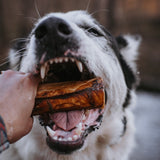 Beef Marrow Dog Bones Natural Farm Shop Bones