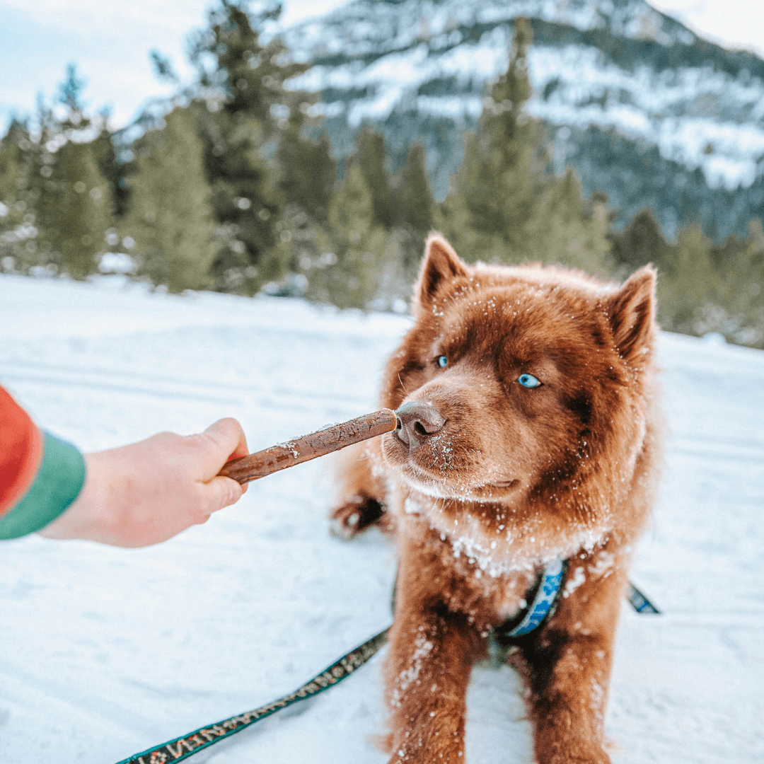 12 Inch Hand Selected Standard Bully Sticks Natural Farm Shop Bully Sticks