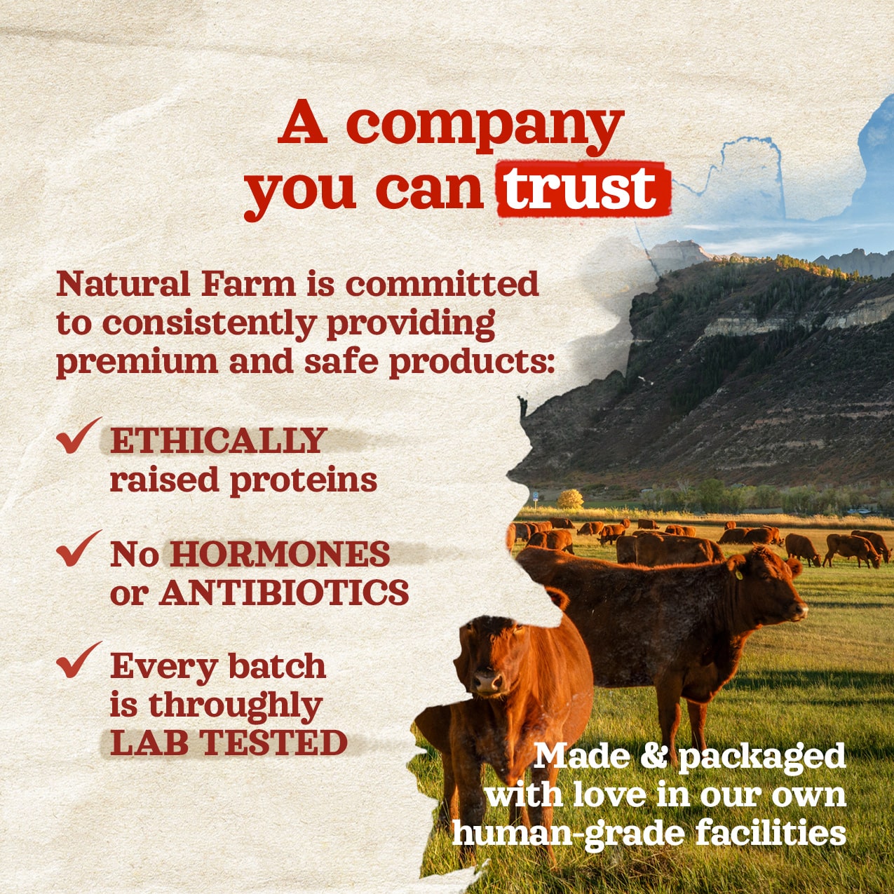 5-6 Inch Peanut Butter Filled Bones Natural Farm Shop Bones