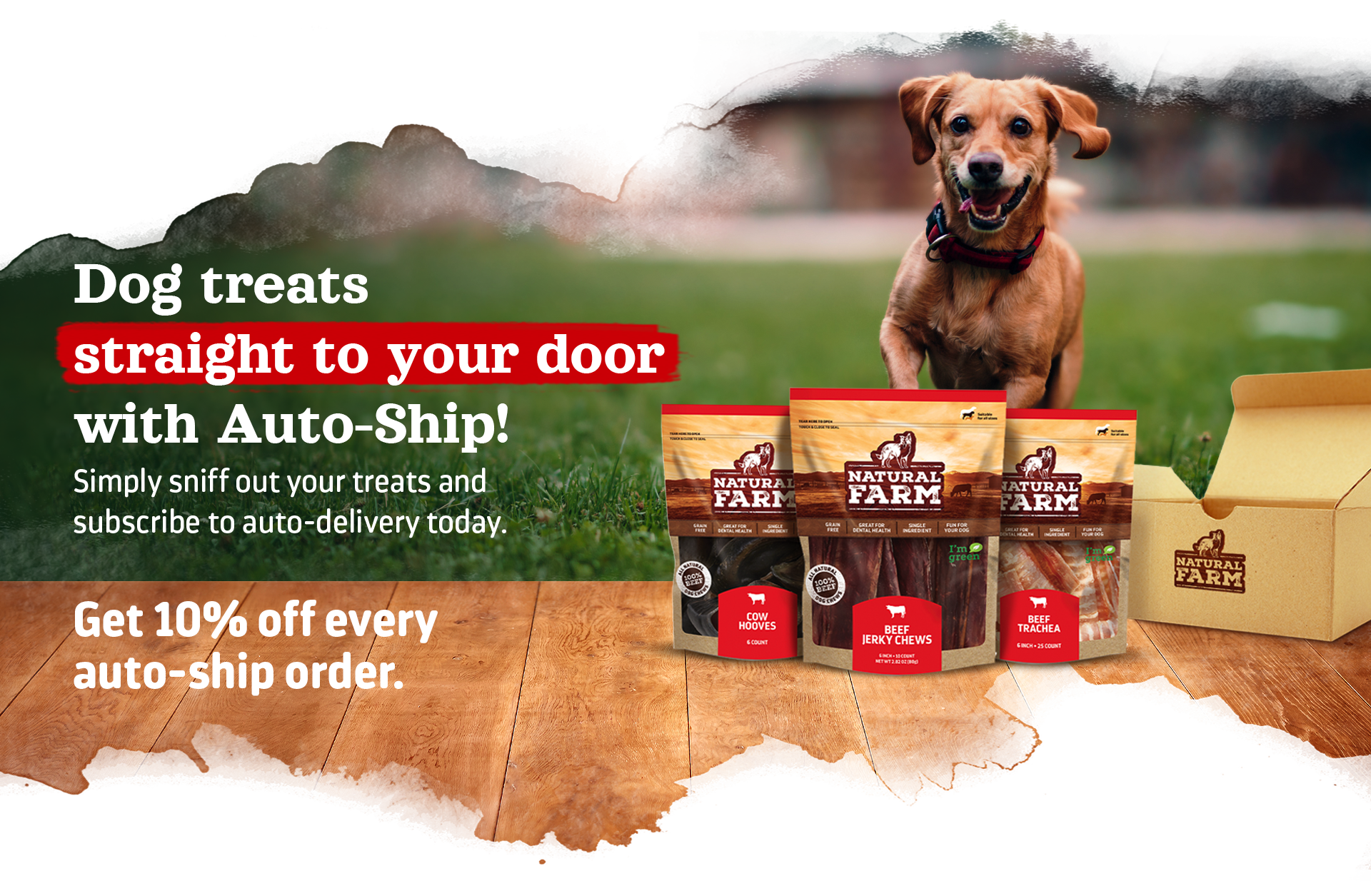 Recurring Delivery Dog Food Treats Auto Ship Dog Treats Chews