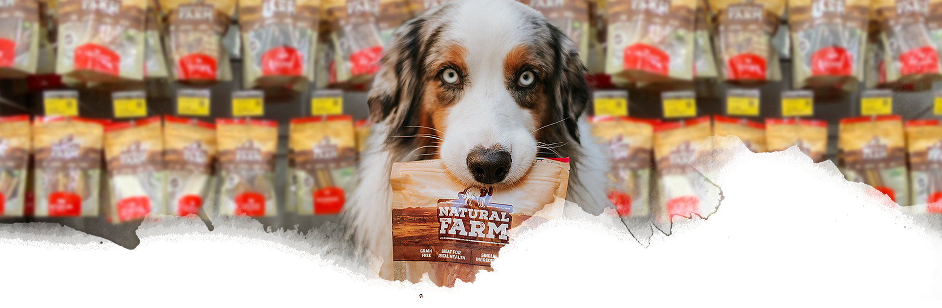Sell Natural Farm Dog Chews Treats At Your Retail Store